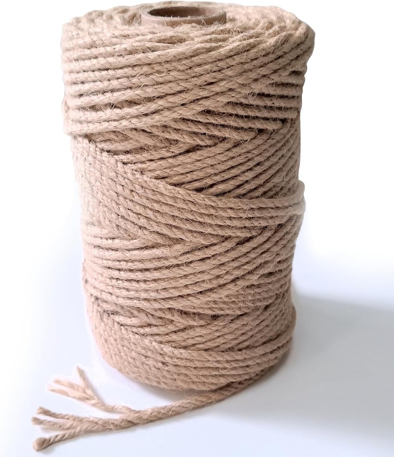CHIAFFI 6mm Jute Twine String, 164 Feet 4 Ply Thick Heavy Duty Twine Rope for Crafts, Cat Scratching Post, Cats Toy Making, Gardening Plant, Packing, Bundling, Christmas, Wedding Decor - Image 1
